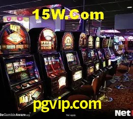 Estatísticas pgvip.com