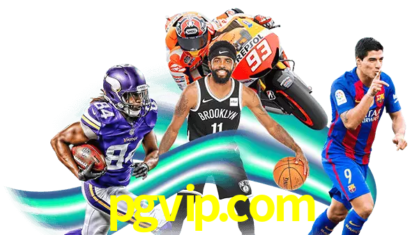 pgvip.com