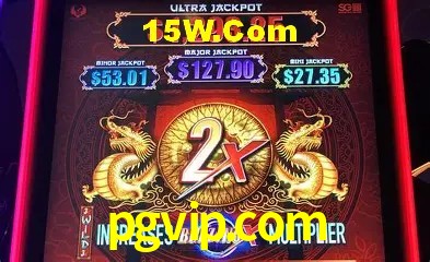 Segurança 2FA pgvip.com