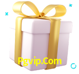 Receba seus bônus de boas-vindas no Pgvip.Com
